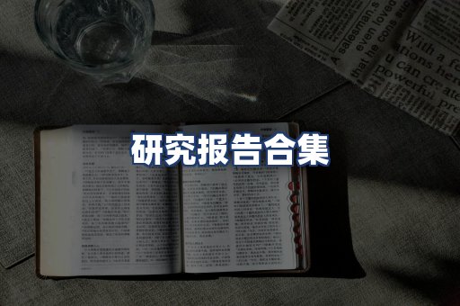 研究报告合集